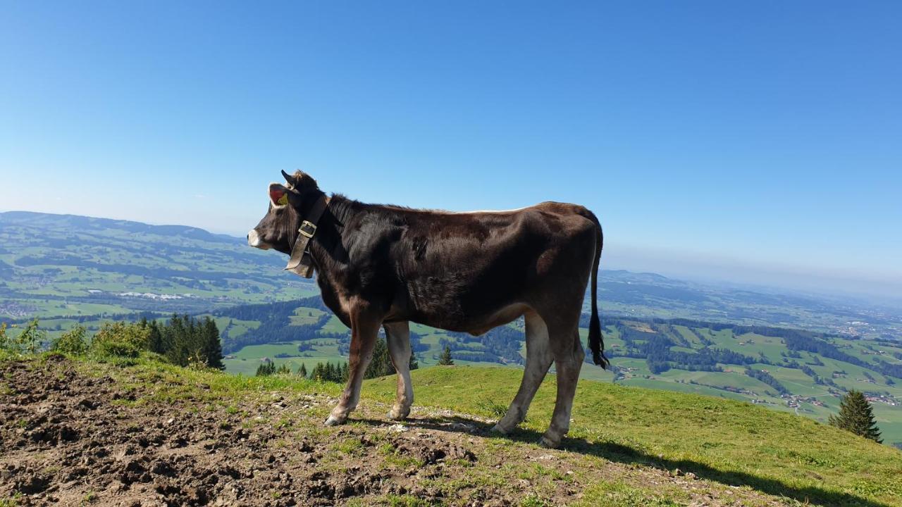 Allgaeu Bergluft Weitnau Bagian luar foto