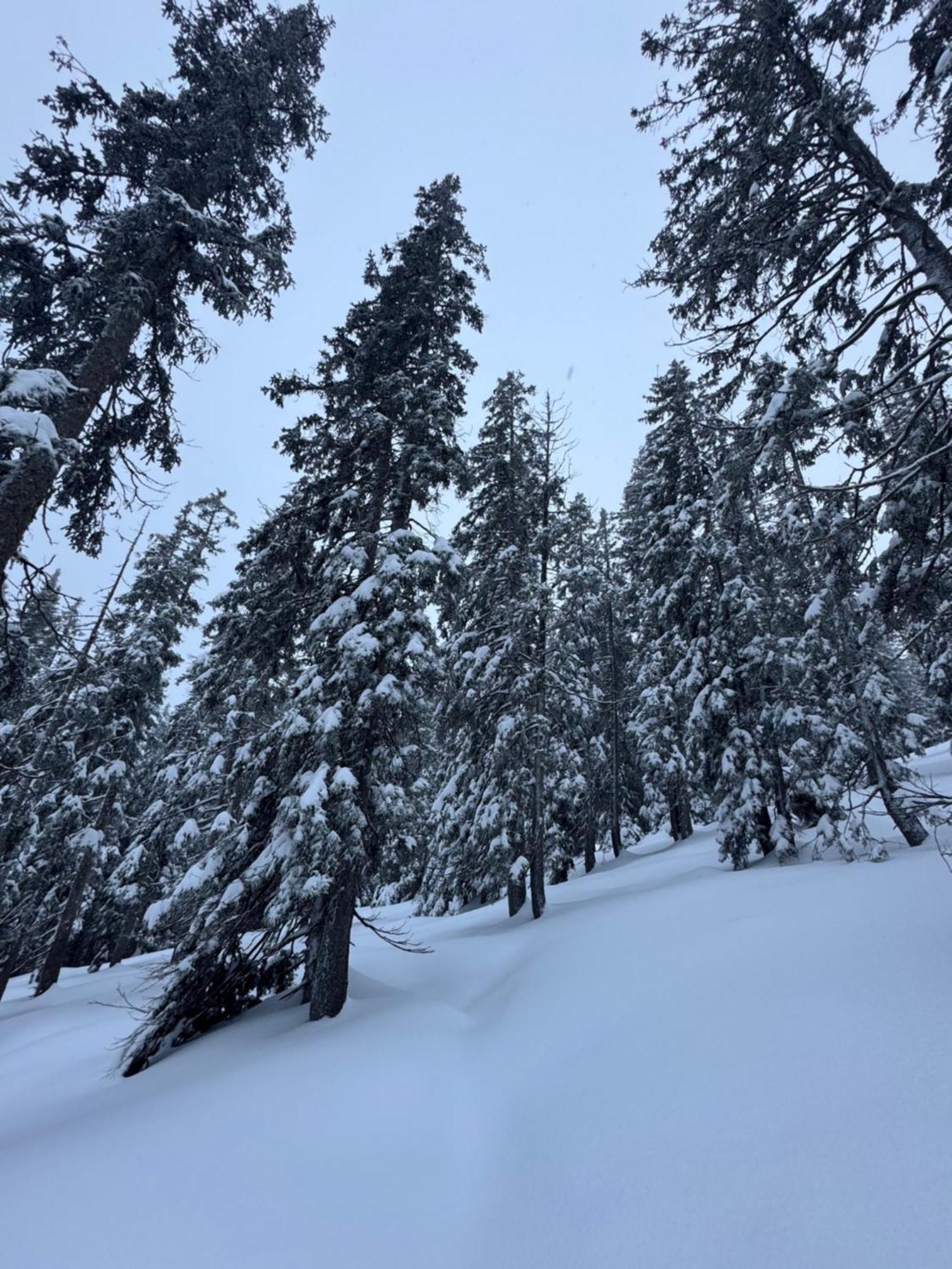 Allgaeu Bergluft Weitnau Bagian luar foto