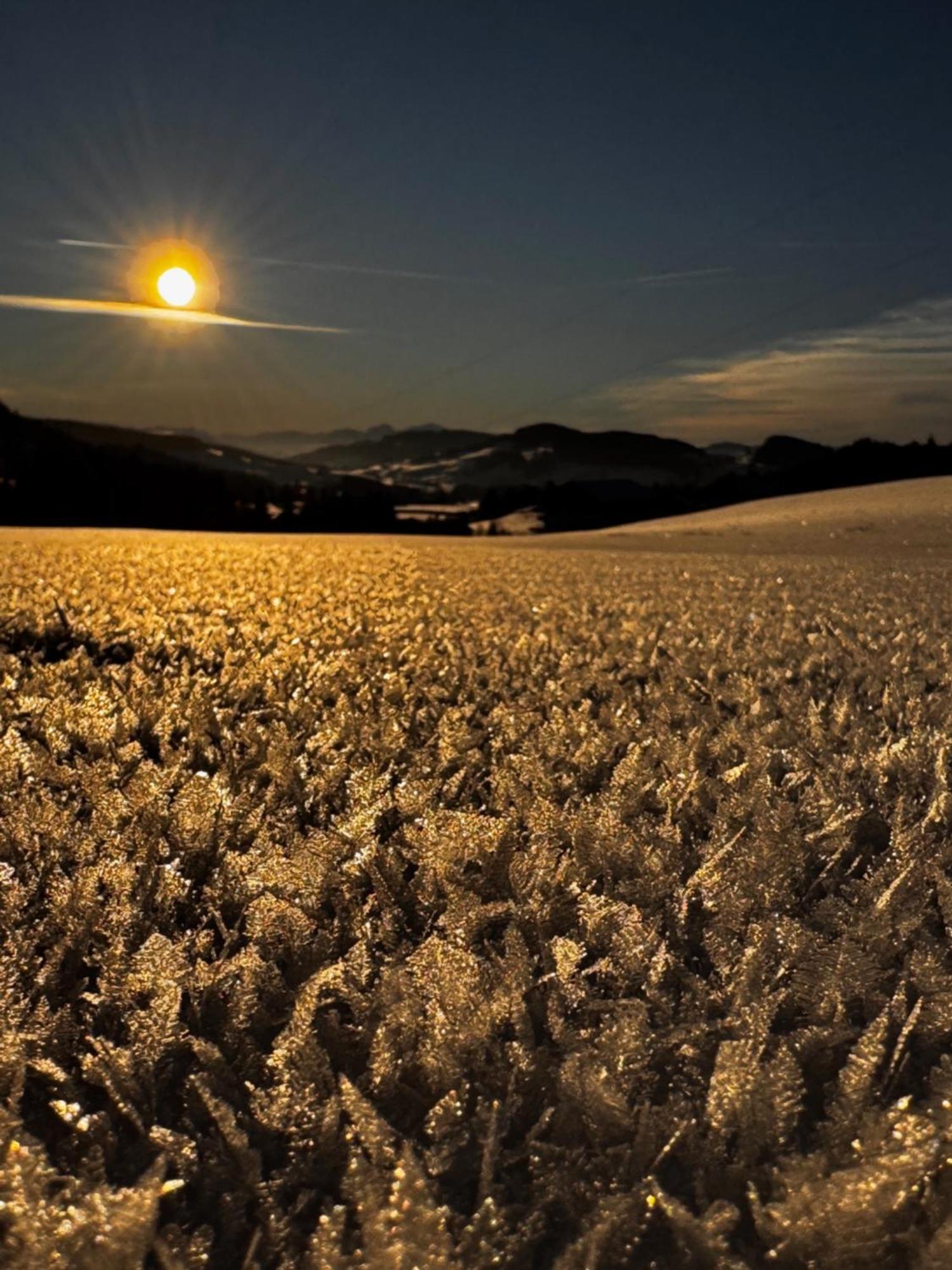 Allgaeu Bergluft Weitnau Bagian luar foto