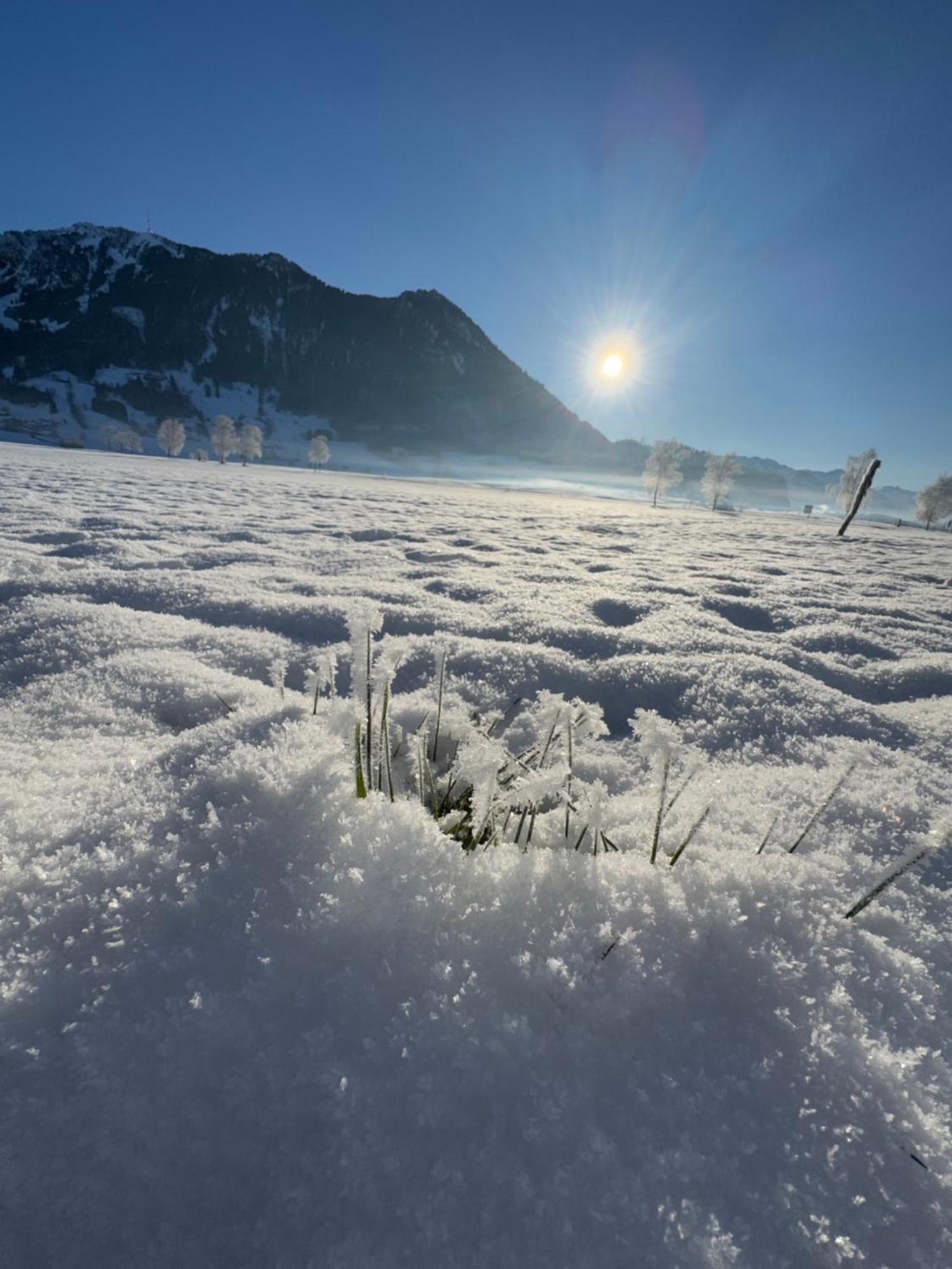 Allgaeu Bergluft Weitnau Bagian luar foto