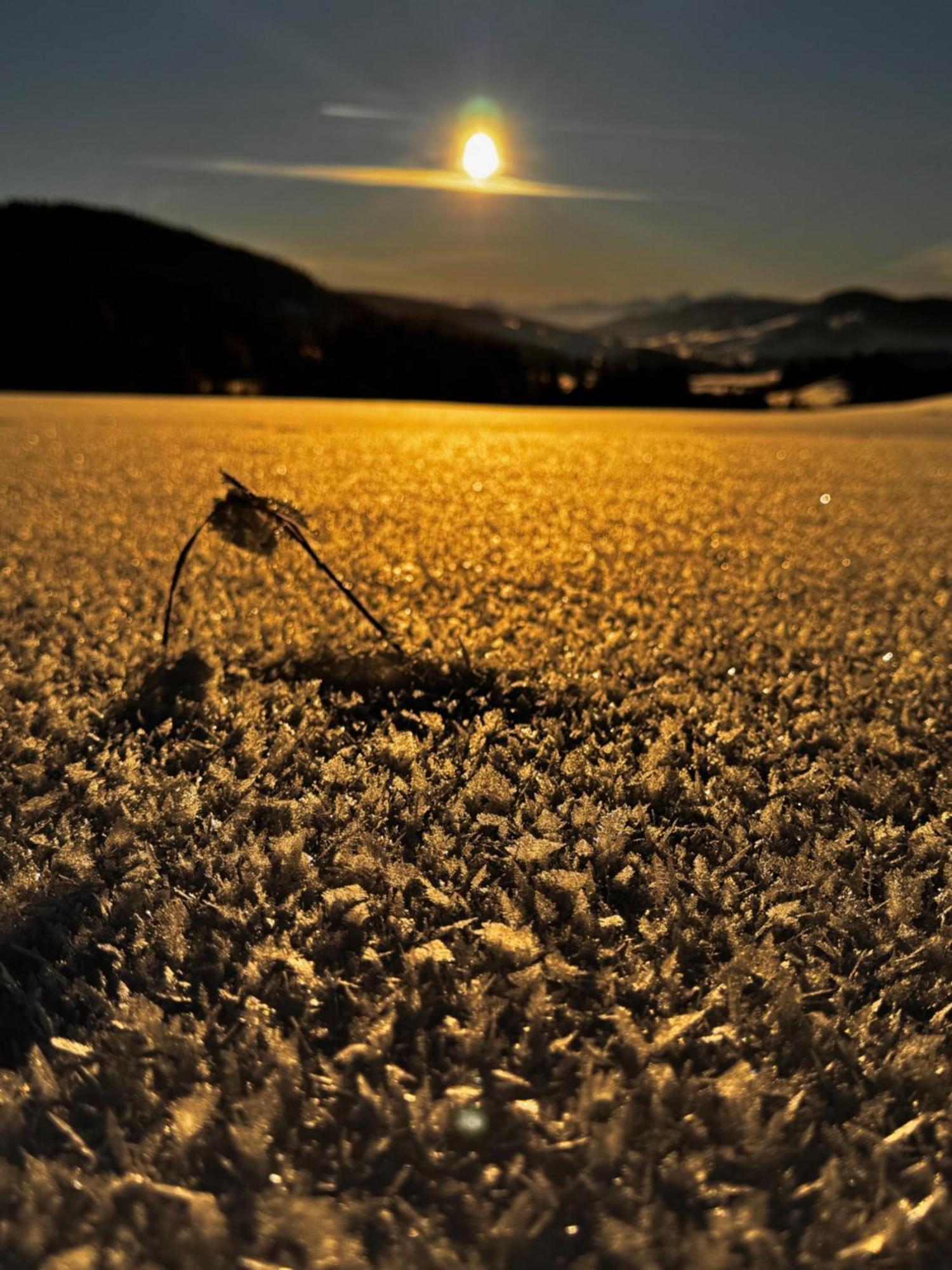 Allgaeu Bergluft Weitnau Bagian luar foto