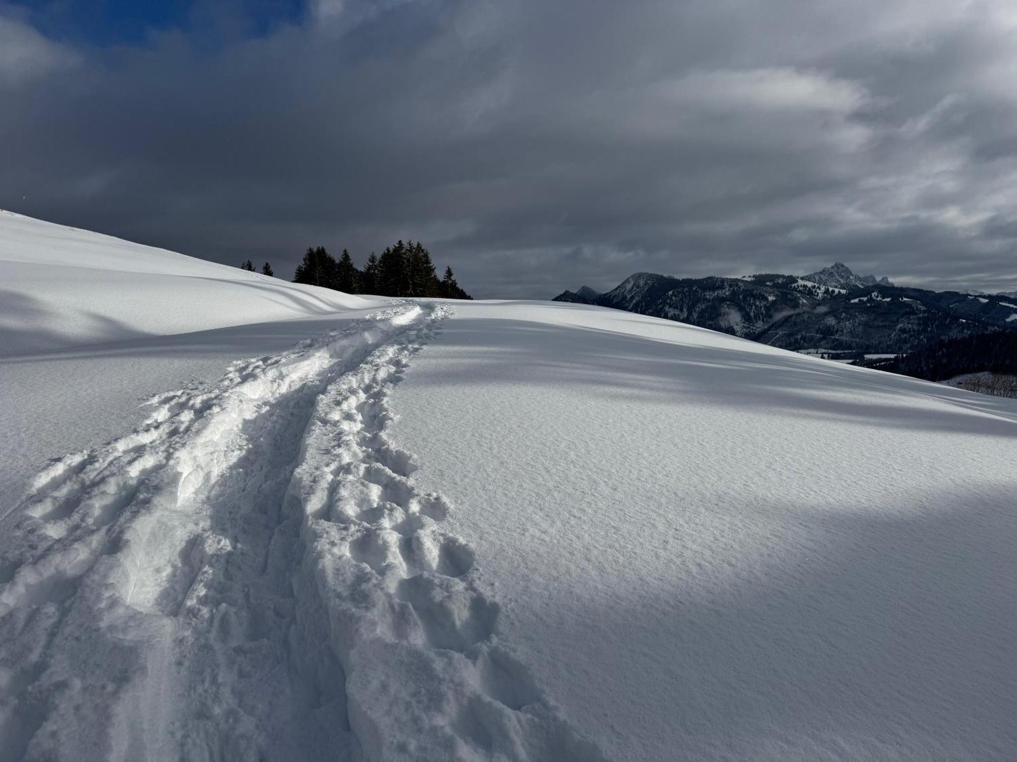 Allgaeu Bergluft Weitnau Bagian luar foto