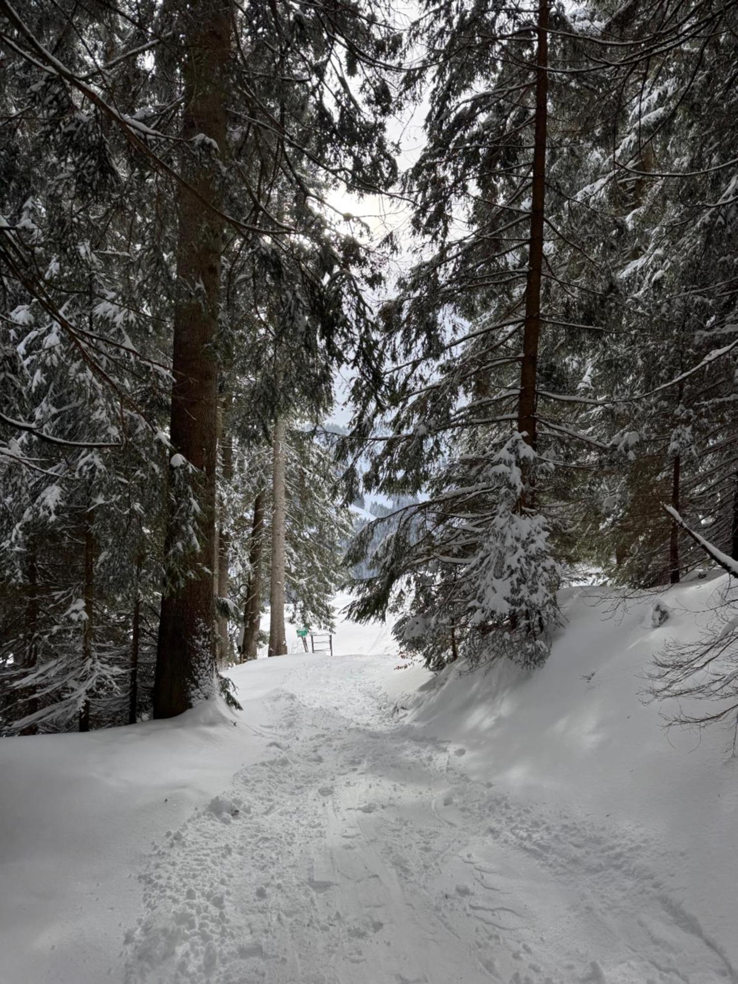 Allgaeu Bergluft Weitnau Bagian luar foto