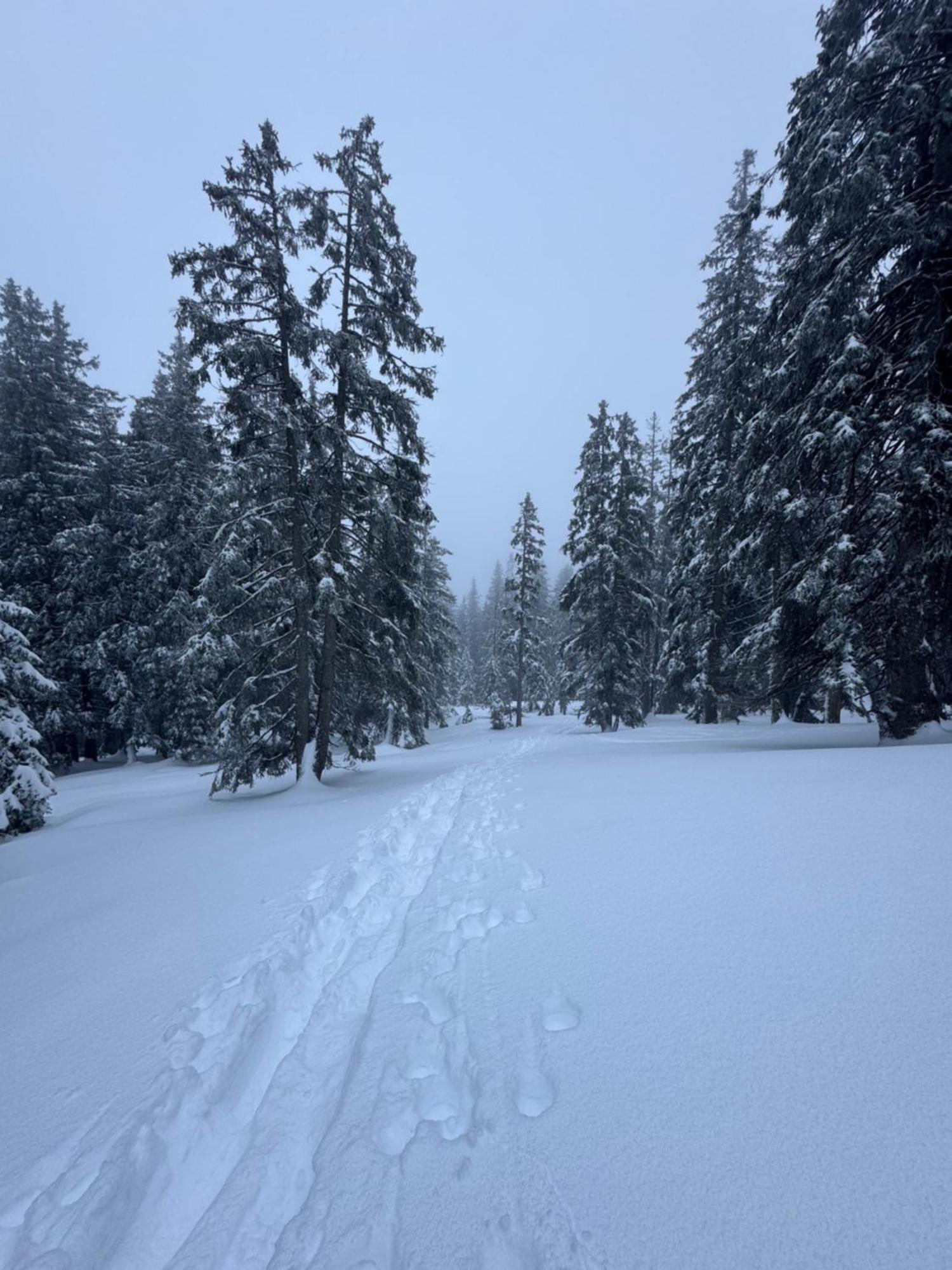 Allgaeu Bergluft Weitnau Bagian luar foto